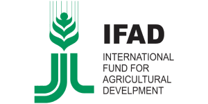 IFAD logo